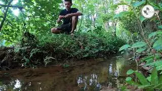 Therapeutic Nature Walk for Stress Relief | 4K