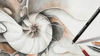Teachers Choice - Creatacolor