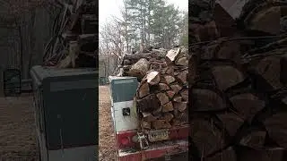 Little firewood action! #logging #firewood #timber #equipment