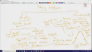 Lec 10 Pulsing methods