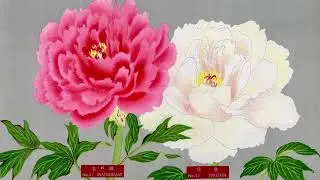 Wall Art for TV - Japanese Peony Prints - Widescreen Full HD