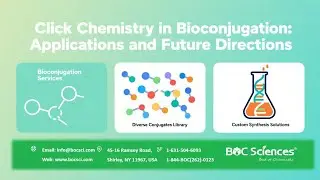 Click Chemistry in Bioconjugation Applications - What is Bioconjugation? -  BOC Sciences