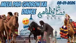 Kalyam Sharif on Meela 🙌 | Horse dance At kalyam sharif 2026 ❤️| 🐴🇵🇰#horse #horsedance #kalyamsharif
