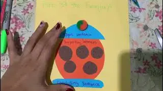 Writing - Hands on Cookie Jar - Parts of the Paragraph by Mariana Ruiz