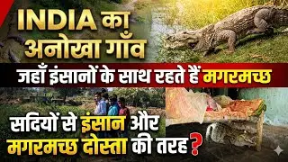 India का अनोखा गाँव जहाँ इंसानों के साथ रहते हैं मगरमच्छ | Crocodiles Village of India | Crocodiles