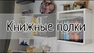 Тур по КНИЖНЫМ ПОЛКАМ