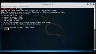 Create complete tcp flow of packets using scapy - part1