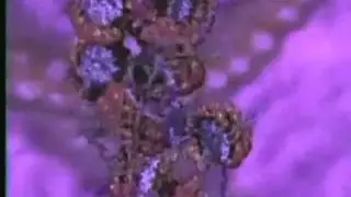 Supercoiling with a twist