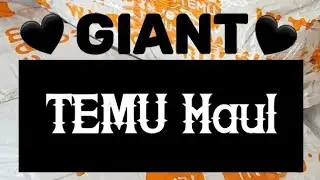 Giant Temu Haul (Not Sponsored)