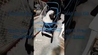 Folding a Carlson Pet Stroller