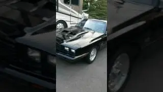 Fox body capri