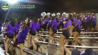 Darlington High School Marching Falcons - Neck 2019