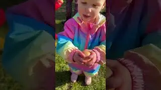 My Favourite Toddler-Friendly Activities 🎨
