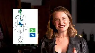 CBD is amazing for all hair types!  | EMERA&trade; CBD Haircare