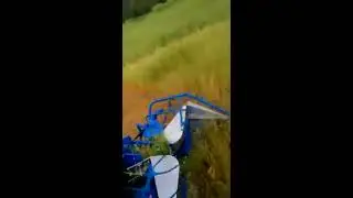 YAPEL DG 140 REAPER BINDER SICKLE MACHINE GREEN OAT HARVESTING VIDEO TURKEY 16.06.2016