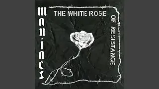 The White Rose