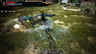 Black Desert 1v2