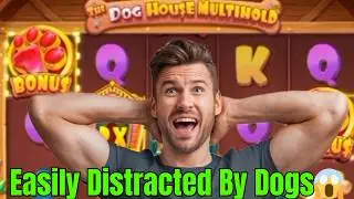 The Dog House Multi Hold! Sensational Win 🐶😍
