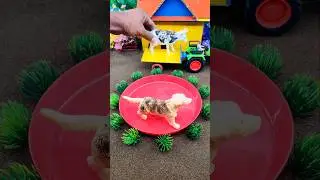 Mini Water pump cow and Dog cleaning project #ytshorts #shortsfeed