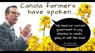 43,000 Canadian canola farmers crushed by China