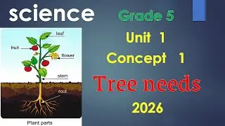 Science Grade 5 Unit 1 Concept 1 Lesson 1 Tree Needs ساينس خامسة ابتدائى ترم اول 2026