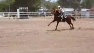Barrel Racing Jackpot, NBHA NV03 Las Vegas
