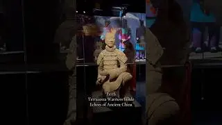 Perth Terracotta Warriors #perthlife #terracottawarriors #ancientchina #museumexhibit #historyalive