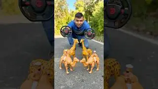 Two Rc Giraffe And 2 Rc Camels 🐪 Unboxing #animals