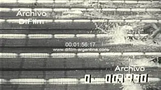 DiFilm - M 400 m freestyle - W 200 m freestyle - Olympic Games 1972