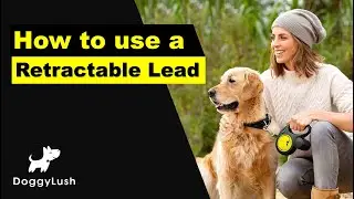 How to Use a Retractable Dog Lead - featuring the Flexi Dog Lead
