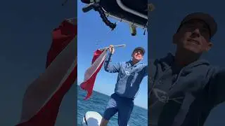 Заниматься дайвингом может каждый, но сертификация дайвера &mdash; это просто здравый смысл 🤿🫵💦 #подвод...