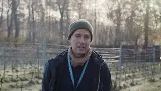 What it's like to work as a vineyard manager - Tom's role in viticulture - TIAH