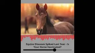 Equine Diseases Spiked Last Year -- Is Your Horse Vaccinated?