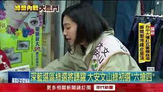 綠大安文山區「六搶四」 財經名嘴徐嶔煌參戰