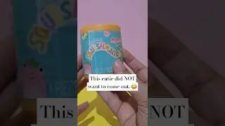 How CUTE is this Micromallows? 😍 Squishmallows Unboxing