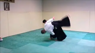 Aikido Seminar in Strasbourg - Miyuki Kumazawa ~