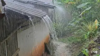 Rain Sounds Cure Insomnia Faster and More Naturally | Rain Sounds for Sleep
