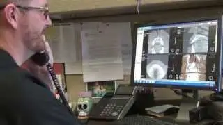 Matt Madsen, D.M.D., M.D.