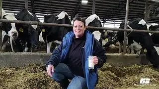2024 Ag Scavenger Hunt - Dairy Cows