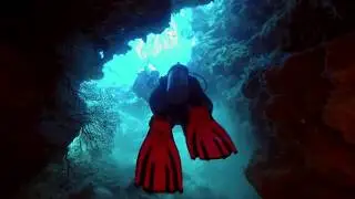 Diving the Great Astrolabe Reef