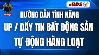 vBDS | Hướng Dẫn T&iacute;nh Năng Up tin - Đẩy tin Bất Động Sản Tự Động H&agrave;ng Loạt