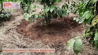 Manure Application