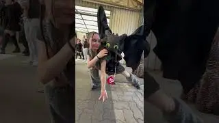 Festival del fumetto 2025 | Italian cosplayer #cosplay