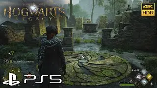 Hogwarts Legacy - North Ford Bog Entrance Merlin Trial Guide