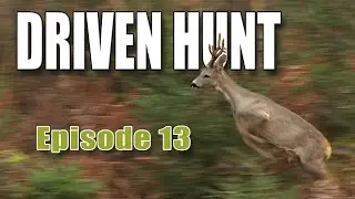DRIVEN HUNT ЭПИЗОД 13 &mdash; Множество событий на юге Швеции