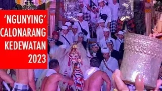 Nguying || Calonarang Pura Dalem Swargan Sesuhunan Jagat Buangga