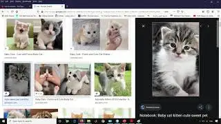 GUI |Creating animations in Java 2D