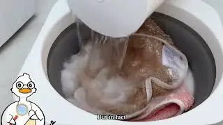 Why do clothes that have been washed many times smell bad when they are obviously clean?