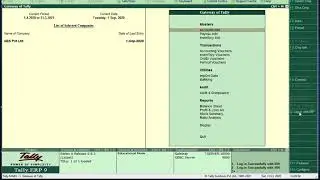 Tally E Invoice Integration