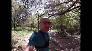 Fun MTB features March 2019